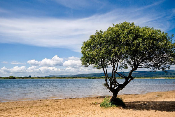 Kenfig National Nature Reserve